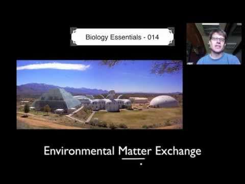 Environmental Matter Exchange thumbnail