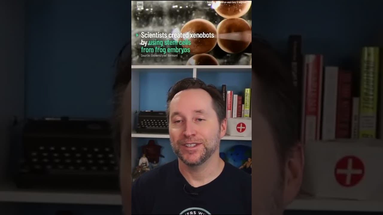 YouTube video player