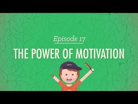 What Drives Us? The Power of Motivation Explained thumbnail