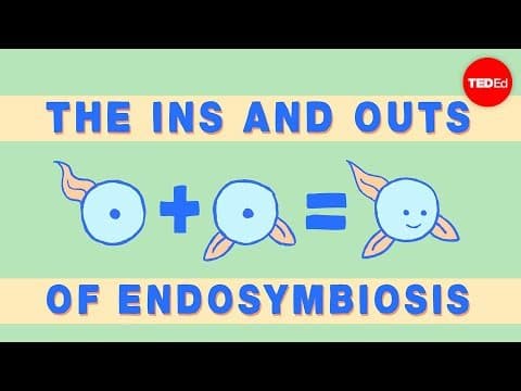 How Did Complex Cells Evolve Through Endosymbiosis? thumbnail