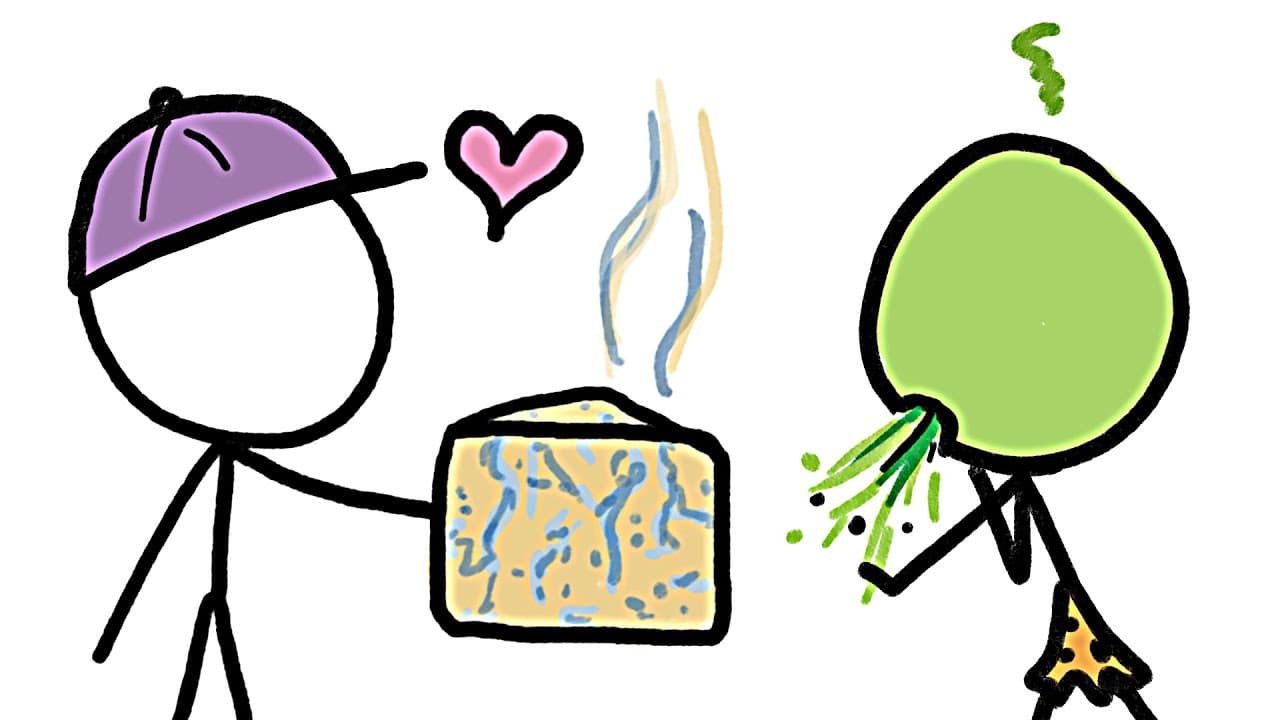 YouTube video player