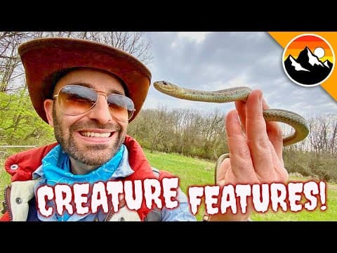 What Are Five Fascinating Facts About Garter Snakes? thumbnail