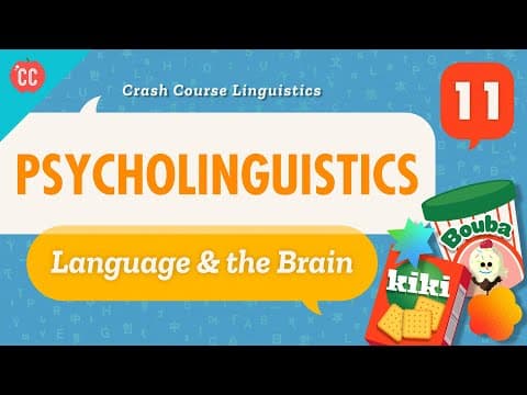 What Is Psycholinguistics and How Does It Relate to Language? thumbnail