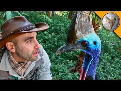 Can a Human Beat a Cassowary in an Apple Eating Contest? thumbnail