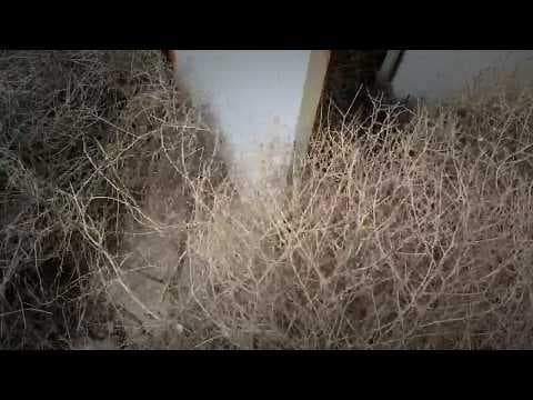 Abandoned Nuclear Weapon Facility Exploration thumbnail