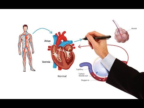 Pharmacology – HEART FAILURE (MADE EASY) thumbnail