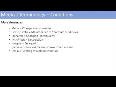 Medical Terminology - The Basics - Lesson 2 thumbnail