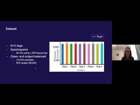 Towards Epileptic Seizure Prediction with Deep Network | Kata Slama | OpenAI Scholars Demo Day 2020 thumbnail