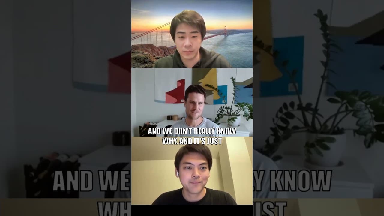 YouTube video player
