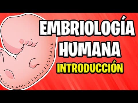 ✅ INTRODUCCIÓN A LA EMBRIOLOGÍA HUMANA | Conceptos Básicos 📚 thumbnail
