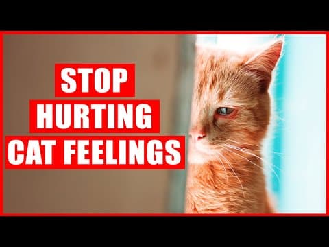 16 Things that EMOTIONALLY Hurt Your Cat thumbnail