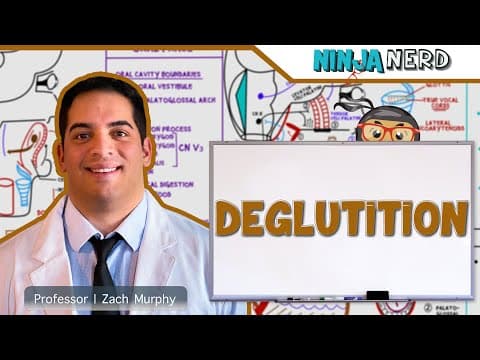 Gastrointestinal | Deglutition (Swallowing) thumbnail