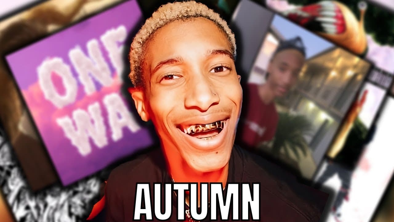 YouTube video player