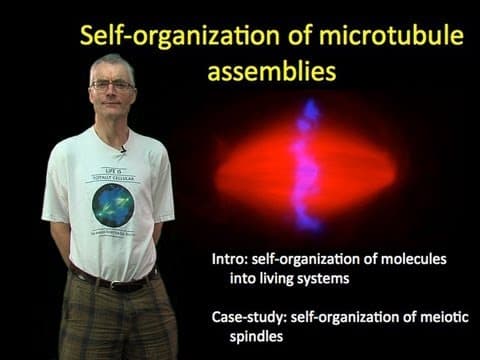 Tim Mitchison (Harvard) Part 1: Self-organization of microtubule assemblies thumbnail