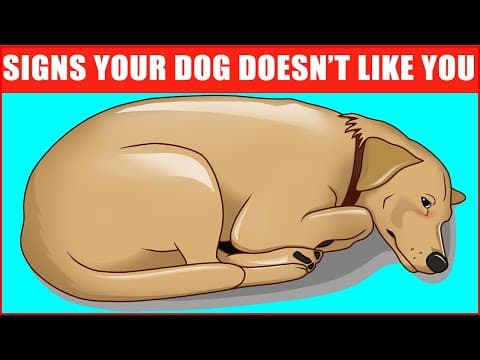 14 Signs Your Dog Doesn’t Love You (Even if You Think They Do) thumbnail