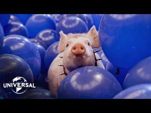 Babe: Pig in The City | The Big Blue Balloon Escape thumbnail