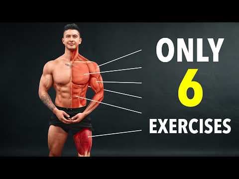 The #1 Full Body Routine to Build Muscle & Lose Fat thumbnail
