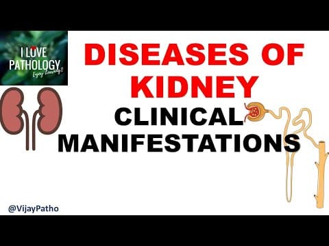 RENAL PATHOLOGY Part 1 : Clinical Manifestations. thumbnail