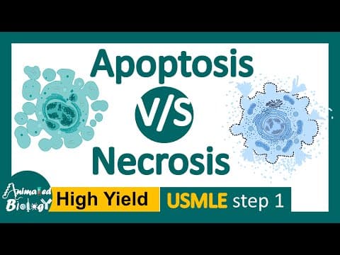 Apoptosis vs Necrosis | 5 differences between apoptosis and necrosis | USMLE step 1 thumbnail