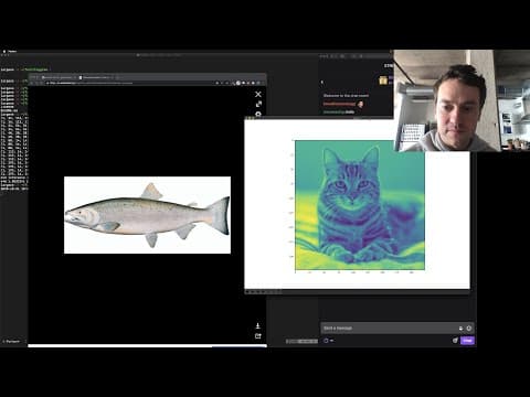 How Does TinyGrad Classify Images Like a Cat or Hat? thumbnail