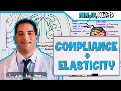 How Do Lung Compliance and Elasticity Work? thumbnail