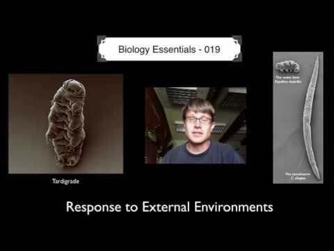 Response to External Environments thumbnail
