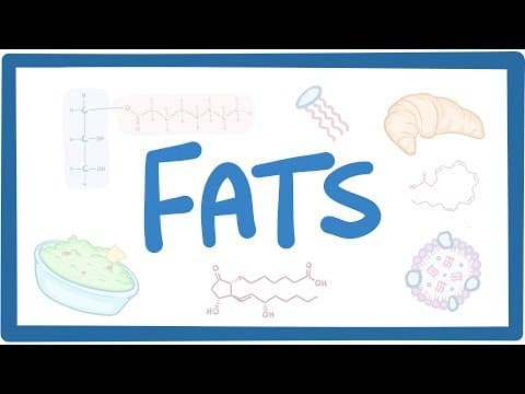 Fats - biochemistry thumbnail