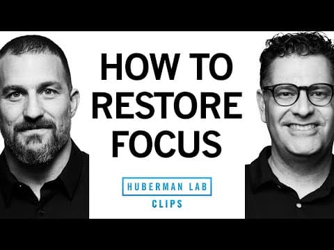 How Nature Restores Your Ability to Focus | Dr. Marc Berman & Dr. Andrew Huberman thumbnail