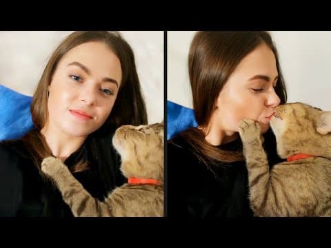 A Cat With Infinite Rizz thumbnail