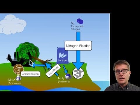 Biogeochemical Cycles thumbnail