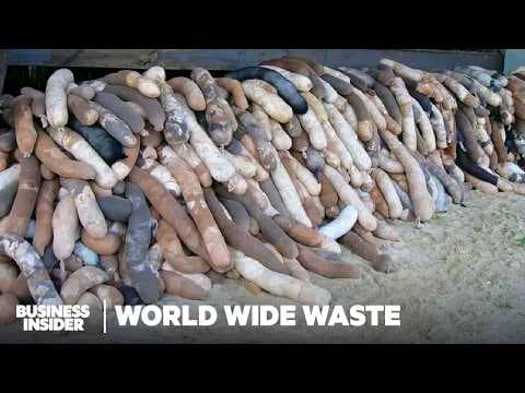 11 Ways People Make Money Off America's Garbage | World Wide Waste | Business Insider Marathon thumbnail