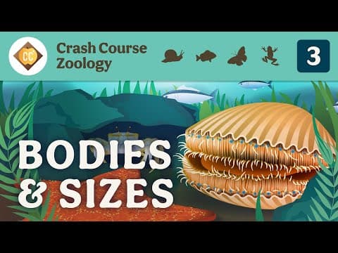 Diversity of Bodies & Sizes (but mostly crabs): Crash Course Zoology #3 thumbnail