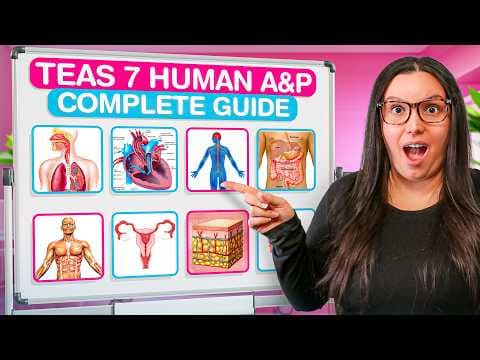 Comprehensive 2026 ATI TEAS 7 Anatomy & Physiology Study Guide thumbnail