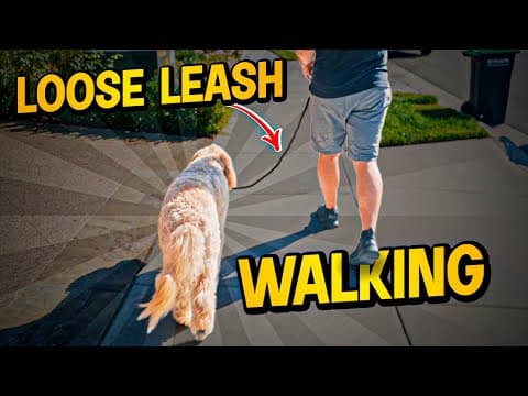 Loose Leash Walking Made Easy with Nate Schoemer thumbnail