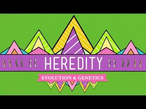 What Is Heredity and How Does It Work? thumbnail