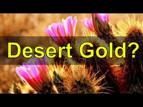 Desert Gold and Plants (Gold Prospecting) thumbnail