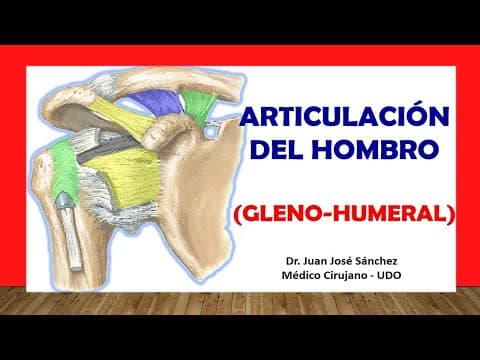 🥇 ARTICULACIÓN DEL HOMBRO, (Glenohumeral). Fácil, Rápida y Sencilla thumbnail