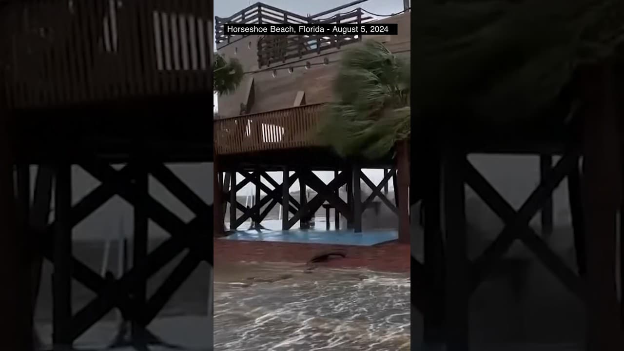 YouTube video player