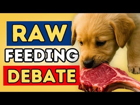 Raw Food For Dogs thumbnail