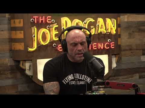 Joe Rogan Experience #2008 - Stephen C Meyer thumbnail