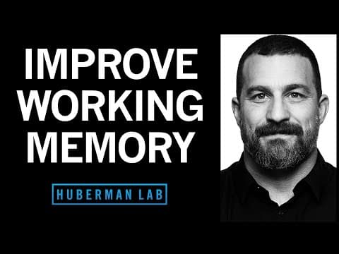 Tools to Enhance Working Memory & Attention thumbnail