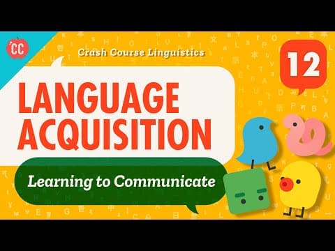 What Are the Key Stages of Language Acquisition? thumbnail