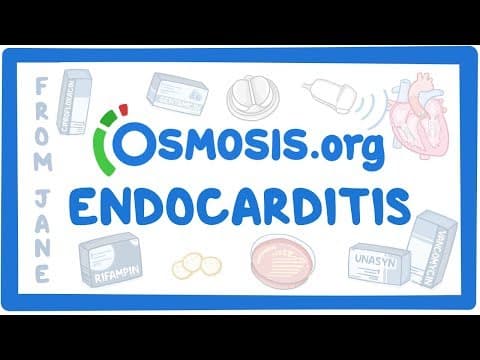 Clinician's Corner: Endocarditis thumbnail