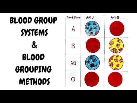 BLD GRP SYSTEM AND METHODS II HEMATOLOGY II BLOOD BANKING II PATHOLOGY LECTURES II @DrJIBRANAHMED thumbnail