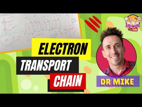Electron Transport Chain | Made Easy thumbnail