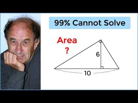 Russian Teacher Tricks Americans With Impossible Problem thumbnail