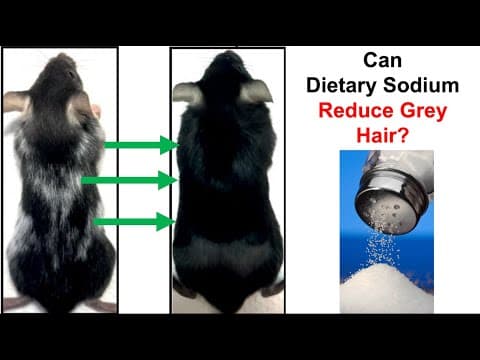 Can Dietary Sodium Reduce Grey Hair? thumbnail
