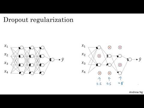Dropout Regularization (C2W1L06) thumbnail