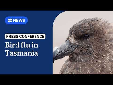 What to do if you find a bird with H5 bird flu thumbnail
