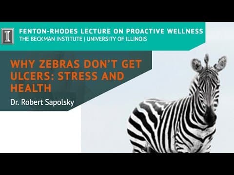 How Does Chronic Stress Affect Our Health? thumbnail